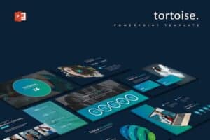 Tortoise