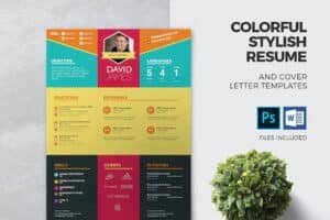Colorful Stylish Resume