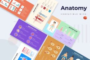 Medical Anatomy