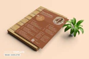 CV Resume Template