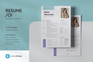 Professional Resume CV