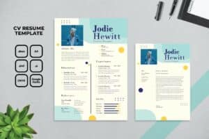 Professional CV