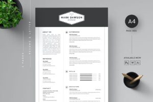 CV Template