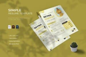 CV Template