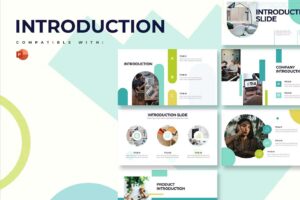 Business Introduction
