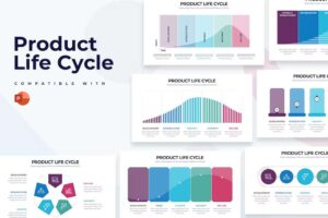 Business Product Life Cycle