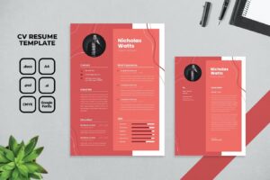 Professional CV