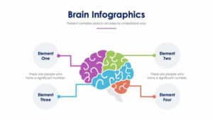 Brain