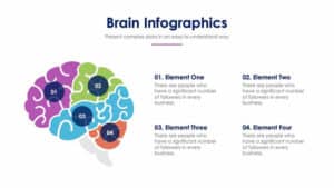 Brain