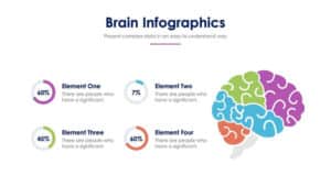 Brain