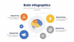 Brain