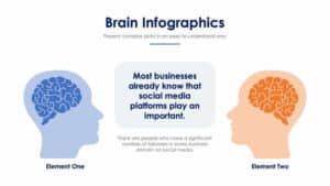 Brain