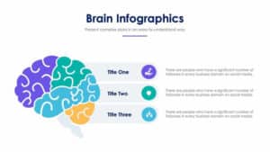 Brain