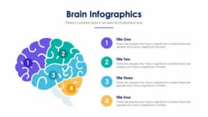 Brain