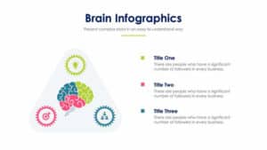 Brain