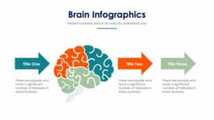 Brain