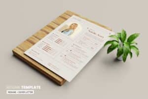 CV Resume Template
