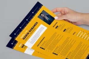Clean Resume CV