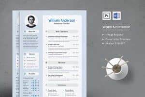 The Professional Resume