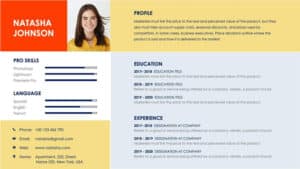 CV Template