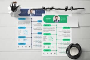Professionally Designed Resume