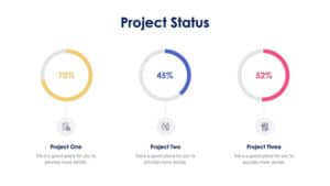 Project Status