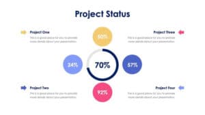 Project Status
