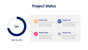 Project Status