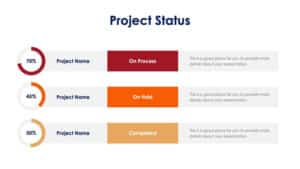 Project Status