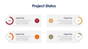 Project Status