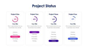 Project Status