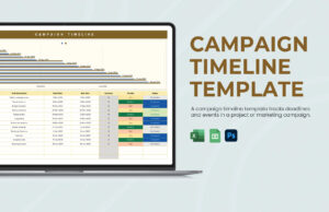 Campaign Timeline