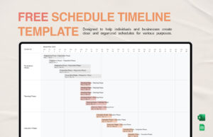 Schedule Timeline